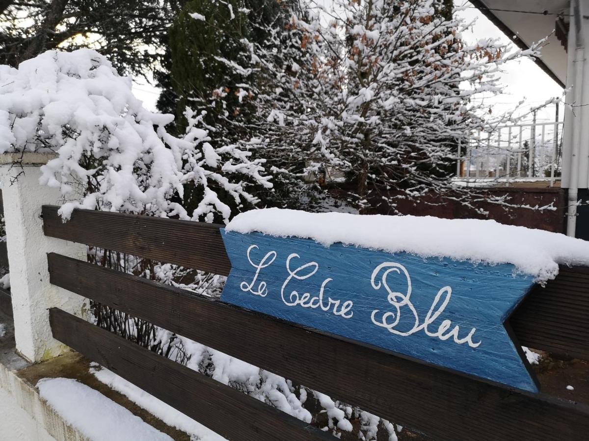 Saint-Michel-sur-Meurthe Le Cedre Bleu酒店 外观 照片